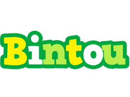 Bintou soccer logo