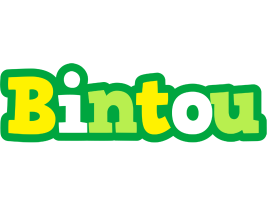Bintou soccer logo
