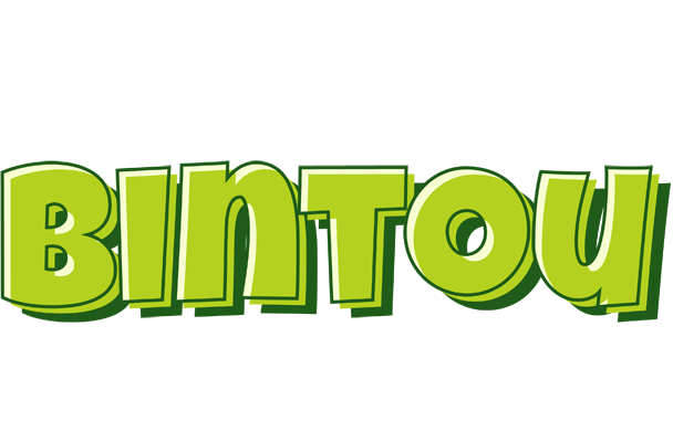 Bintou summer logo
