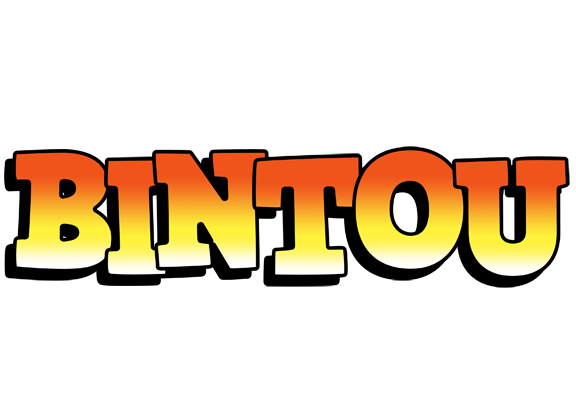 Bintou sunset logo