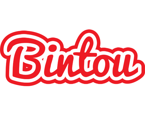 Bintou sunshine logo