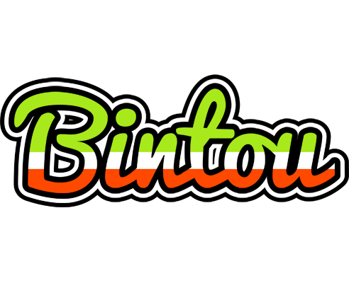 Bintou superfun logo