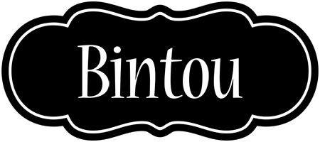 Bintou welcome logo