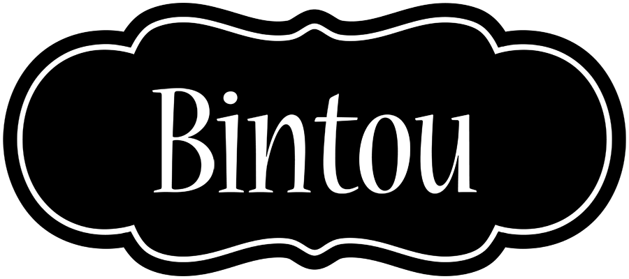 Bintou welcome logo