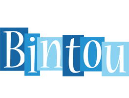 Bintou winter logo