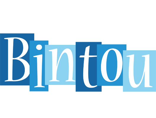 Bintou winter logo