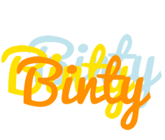 Binty energy logo