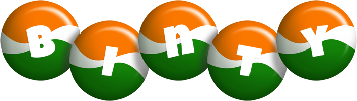 Binty india logo