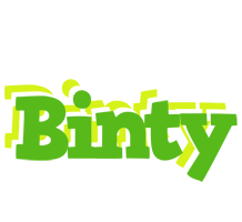 Binty picnic logo