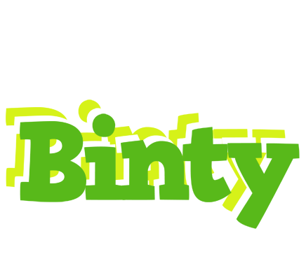 Binty picnic logo