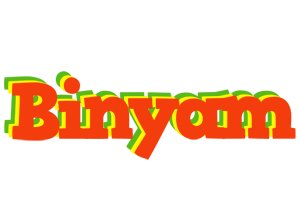 Binyam bbq logo