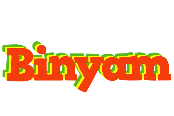 Binyam bbq logo