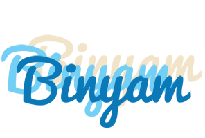 Binyam breeze logo