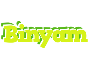 Binyam citrus logo