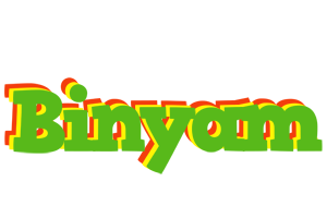 Binyam crocodile logo