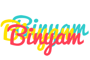 Binyam disco logo