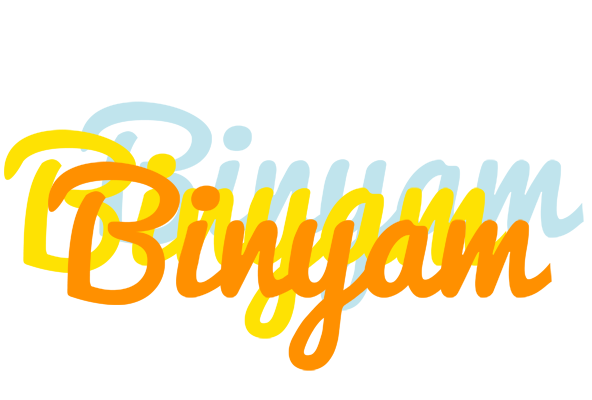Binyam energy logo