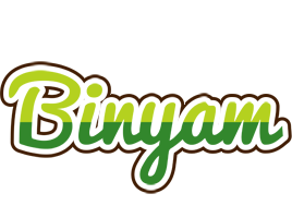 Binyam golfing logo