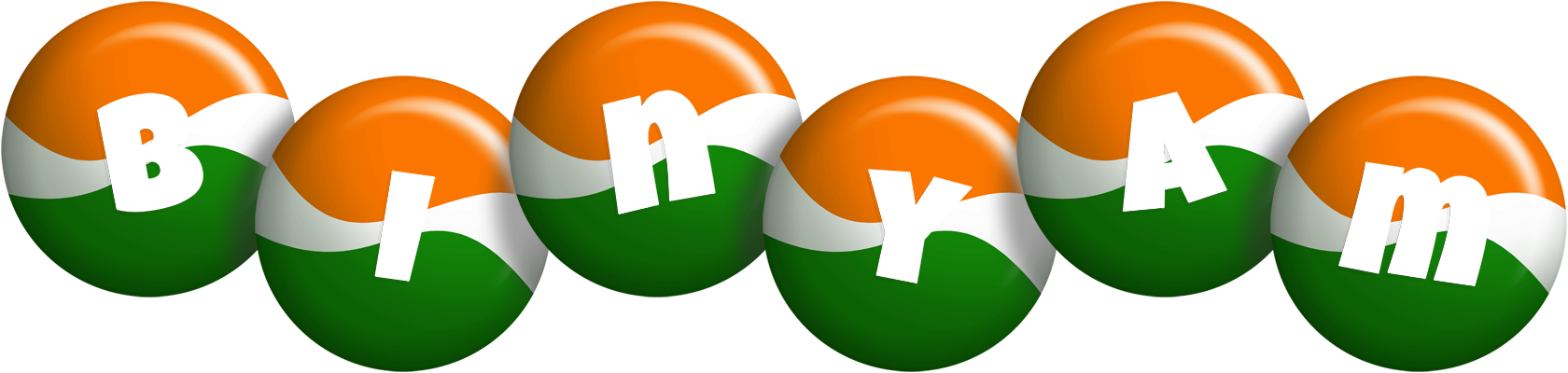 Binyam india logo