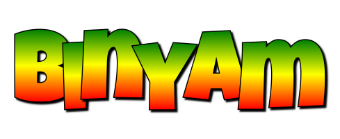 Binyam mango logo