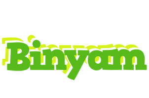 Binyam picnic logo