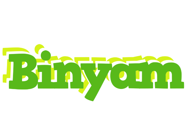 Binyam picnic logo