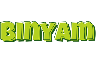 Binyam summer logo