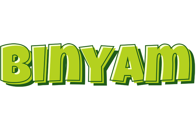 Binyam summer logo