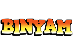 Binyam sunset logo