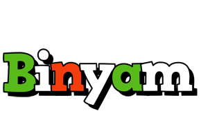 Binyam venezia logo