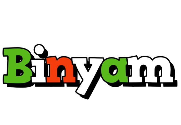 Binyam venezia logo