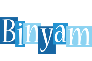 Binyam winter logo