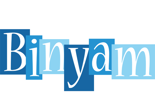 Binyam winter logo