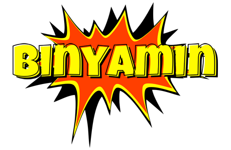 Binyamin bazinga logo