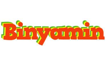 Binyamin bbq logo