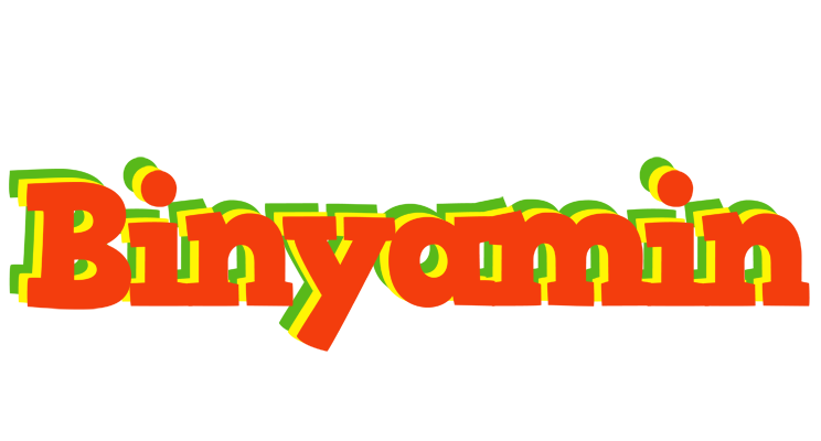 Binyamin bbq logo