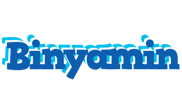 Binyamin business logo