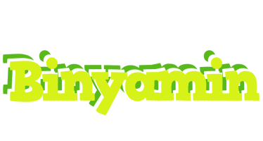 Binyamin citrus logo