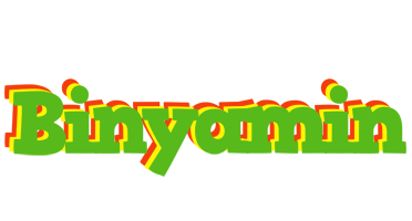 Binyamin crocodile logo