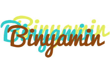 Binyamin cupcake logo