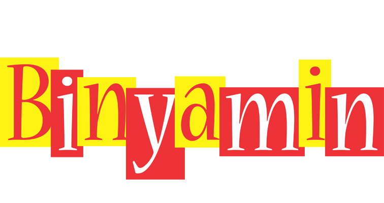 Binyamin errors logo