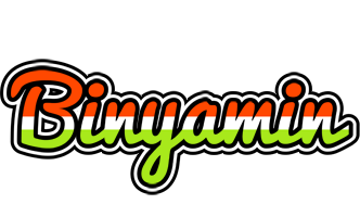 Binyamin exotic logo