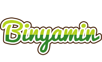 Binyamin golfing logo