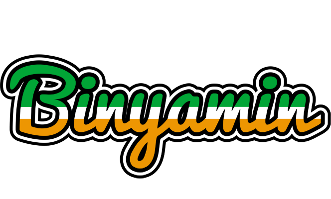 Binyamin ireland logo