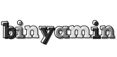 Binyamin night logo