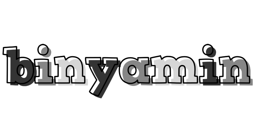 Binyamin night logo