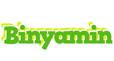 Binyamin picnic logo