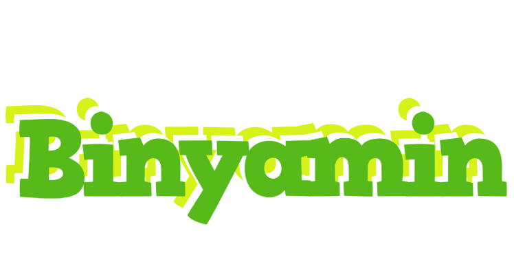 Binyamin picnic logo