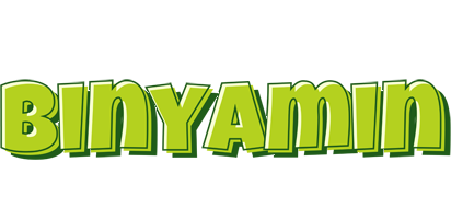 Binyamin summer logo