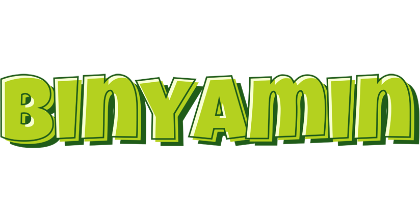 Binyamin summer logo